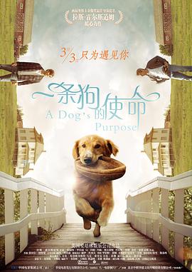 牛奶秋刀姨