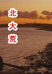 91在线视频直播