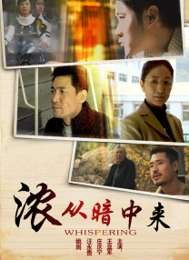 st 同洲