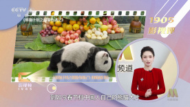 播放黄色录像